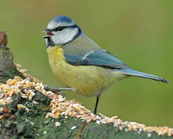 ih89imqdy48mnsemt4z52mcox 203330