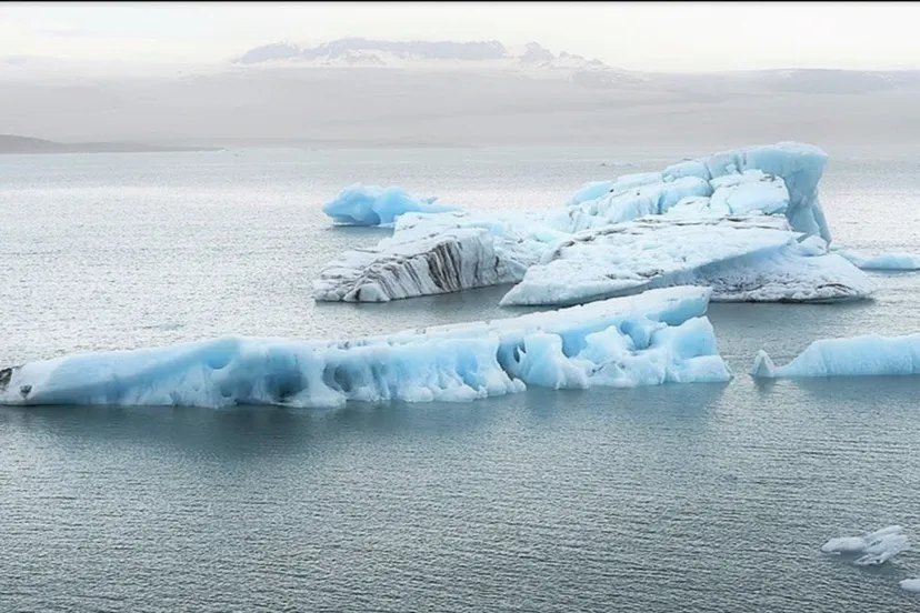 ijsland renske idema