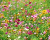 ilb7pnj1z22of624oaioouh03 219211