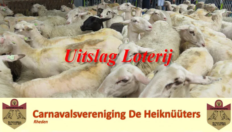 imatvjqd1x7g9009ogjyl54ov cvdeheiknters1