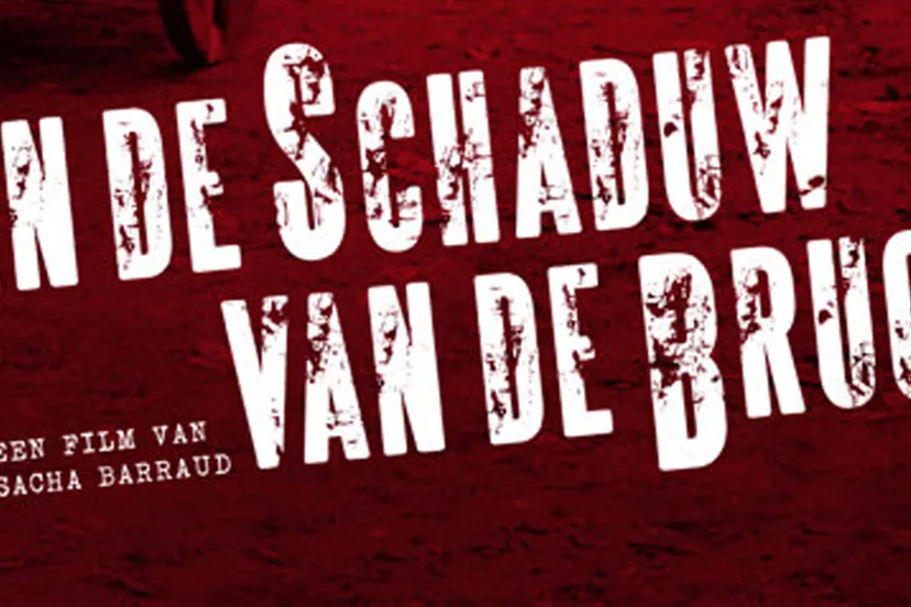 in de schaduw van de brug sacha barraud