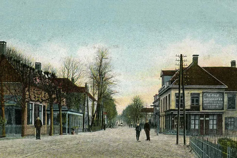 indic3ab in velp defensienl