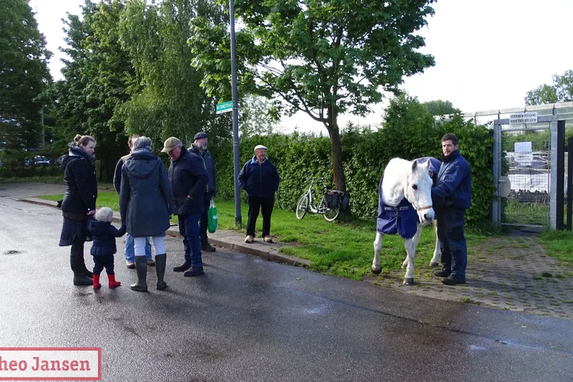 inscharen vee gerfdenweide 2019 1