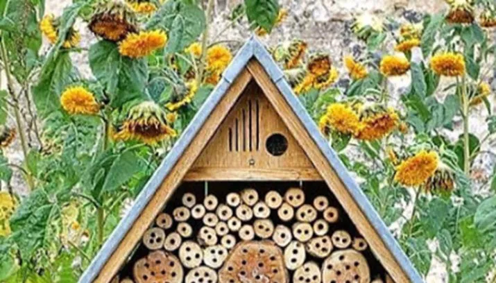 insectenhotel inloophuis dieren