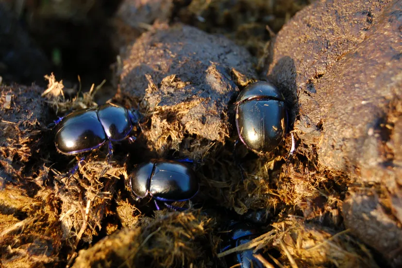 ivn familiewandeling karin otermann
