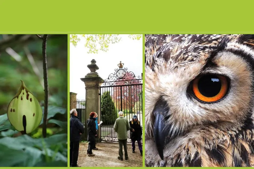 ivn ov zintuigen verkennen middachten