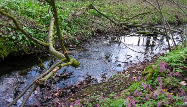 ivn voorjaar op middachten