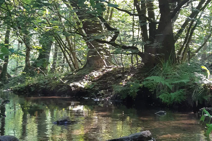 ivn wandeling ellecom raymond overmars