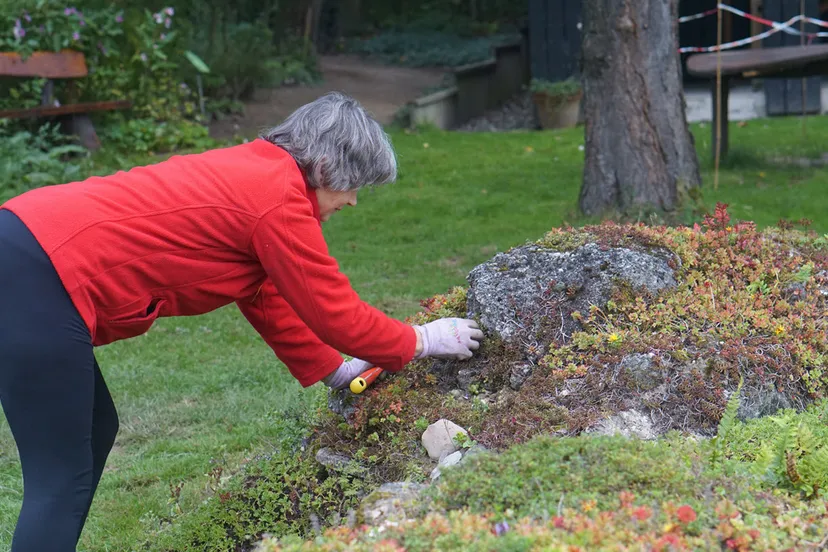ivnov ivn tuin medewerker koen kleinleugenmors