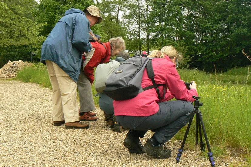 ivnov kiek eens rond