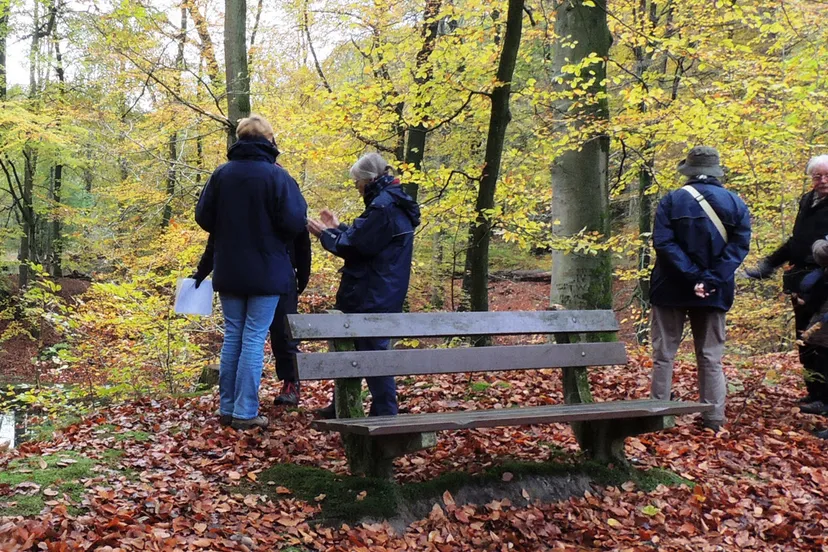 ivnov rozendaalse bos corlne van der camp