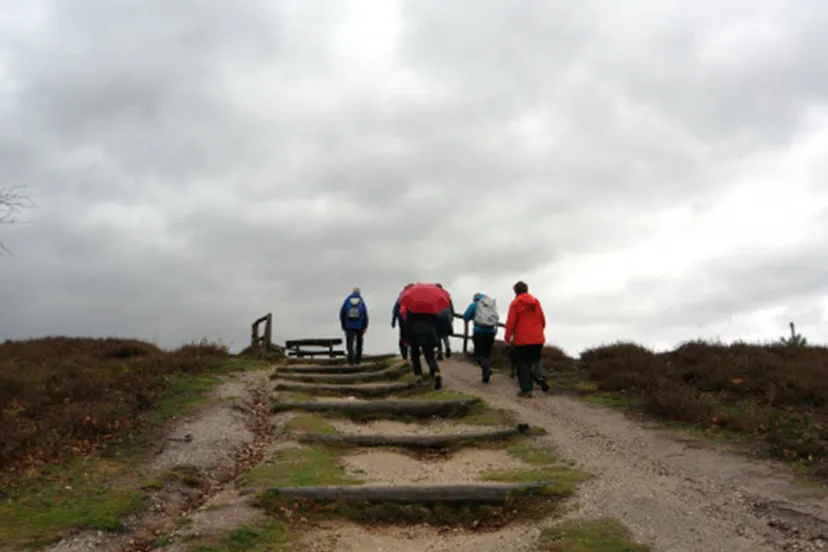 ivnov stikketrui corlene van den camp