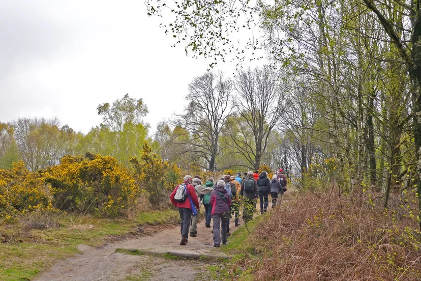 ivnov zwerven door bos en hei