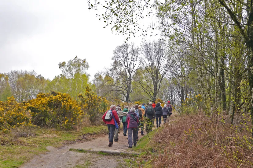 ivnov zwerven door bos en hei