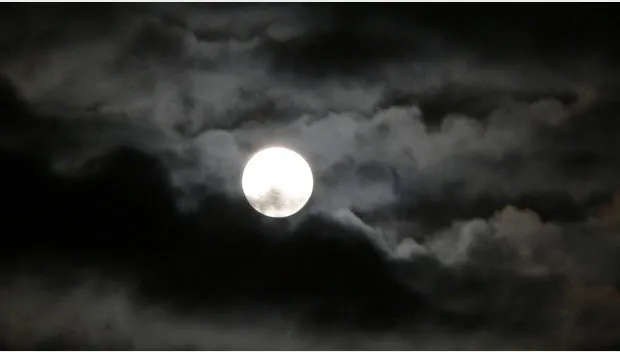 iwo2zxluher0e8c85ywjj8vtq maan