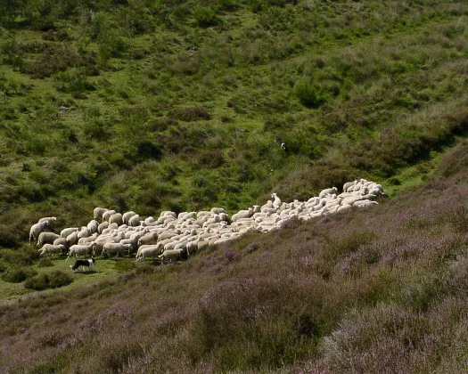 j4n6zqmxiyojy4wuf4ms03cmx 149724