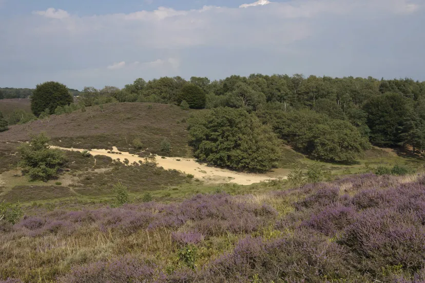 j7vuxdf4t0x05guvq41e9nlol stevige wnadeling herikhuizerveldgerrit rekers 2