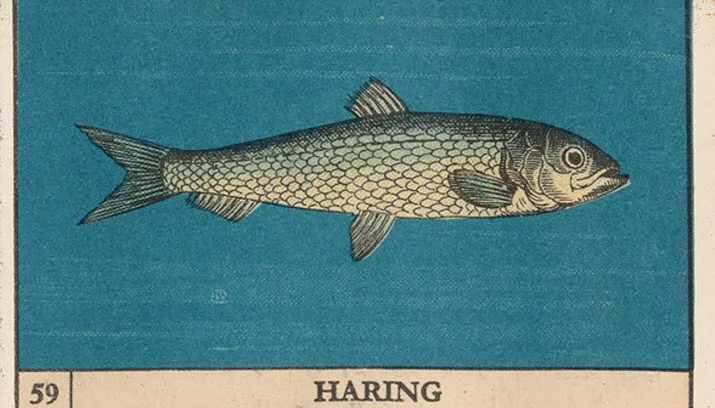 janwillemsen14 07 36