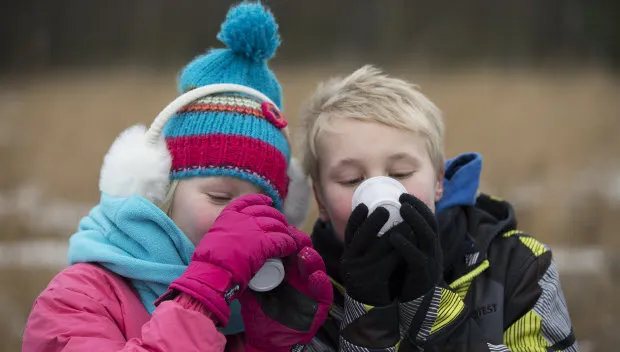 jat7w214llwamu5f509l95pg5 chocozondag