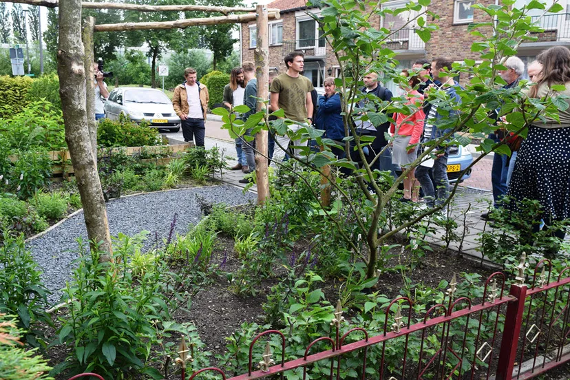 jelle van haren bij zijn winnende tuin met juryleden