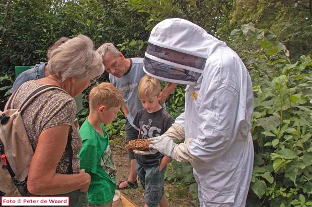 jhv84tw4tll1vufwxwt8jyhya dieren imkerij de immenhof 3aug2013 1