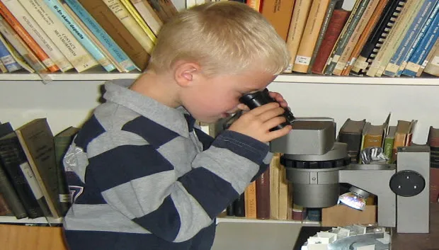 jk1agw1vym56fk1cm7hwovl45 micromounts