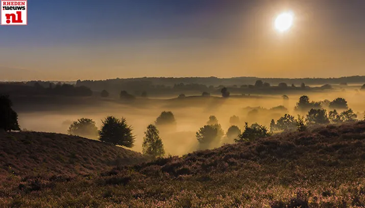 jlsonya7729 augustus 20158962 bewerkt