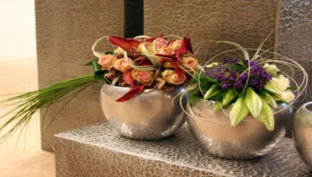 jm57fmc0u2ia70jwc1s358iv7 groenhorsta1