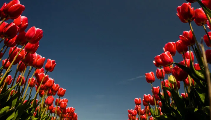 jotpunkt via fotercom cc by