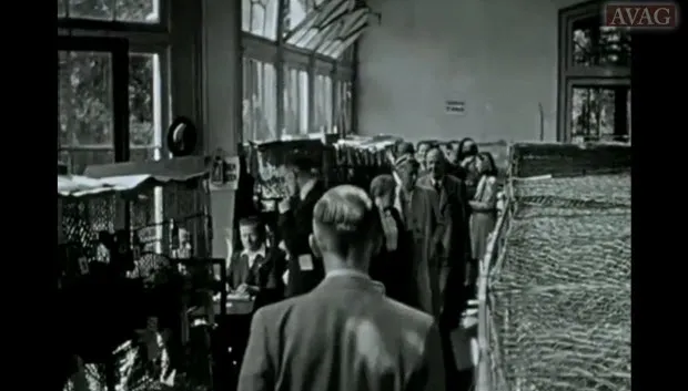 jzda3h4ioifb98ahb1dn0gn00 velpraskonijn 2