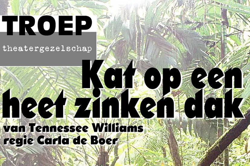 kat op een heet zinken dak1 theatergezelschap troep