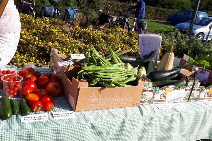 kerkmarkt dieren ria van voorst lockhorst4