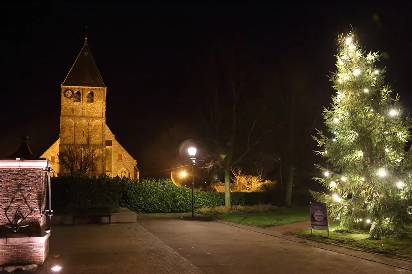 kerstboom rheden
