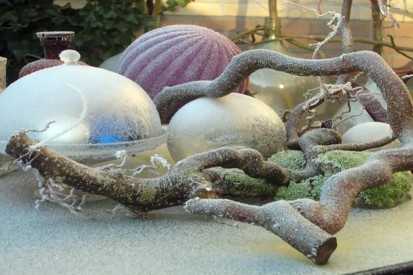 kerstworkshop groei bloei veluwezoom