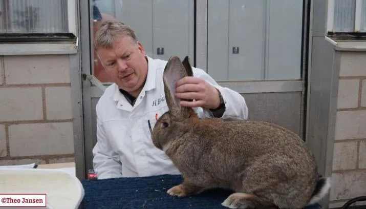 kleindierententoonstelling t nuthoen1