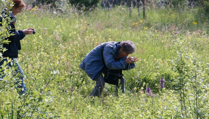 kleurenexplosie op larenstein