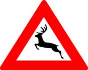 knqdw2t7soumt1xzoz27ujvf3 162138