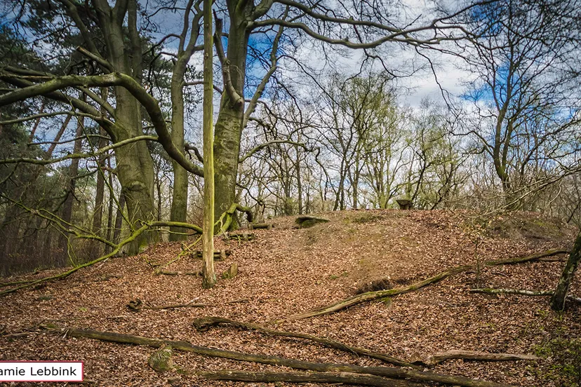 koepel van viruly dsc6829jamielebbinka7iijla77