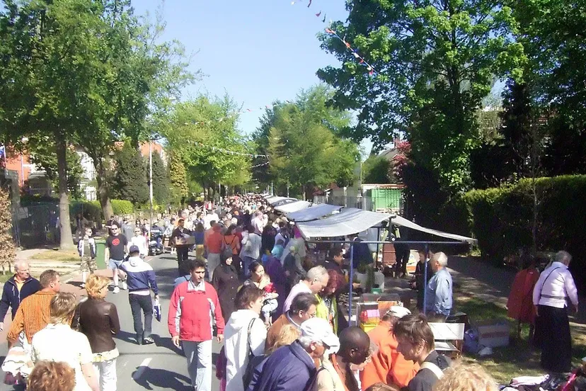 koningsmarkt overzicht