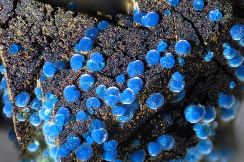 koper connelliet gelders geologisch museum velp