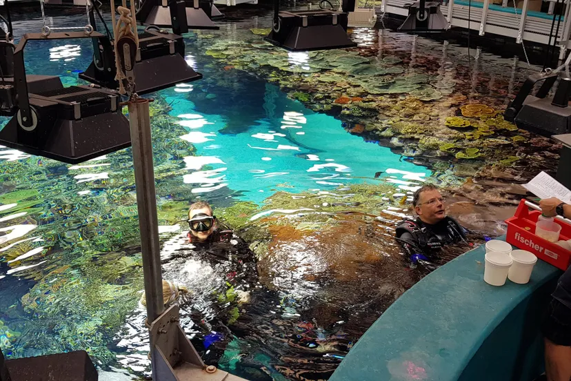 koraalrif burgers zoo