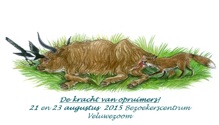 kracht van de opruimers veluwezoom inge van noortwijk1