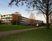 l1f6w4466qt71505tmdf7f671 92996