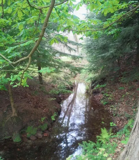 l3n8keq3nbd2m7lri7ln3ehws 139089