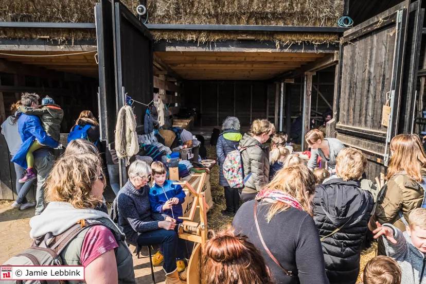 lammetjesdag rhedense schaapskudde 2018 2