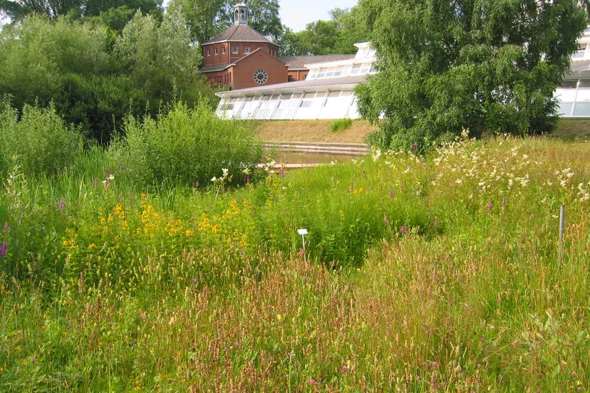 landgoed larenstein kapel