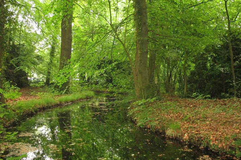 landgoed larenstein vijver