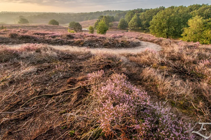 landschap elia fotografie