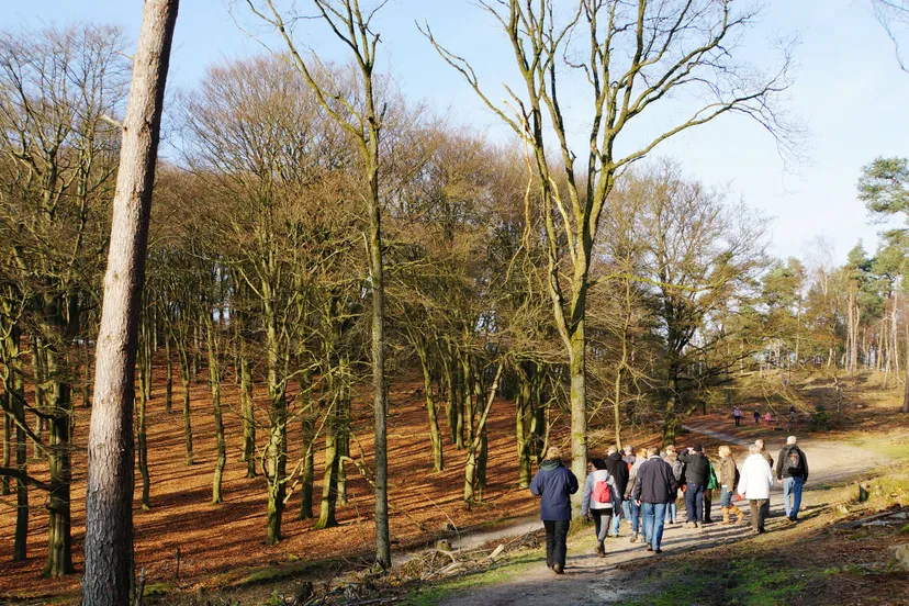 landschap gerrit lammers