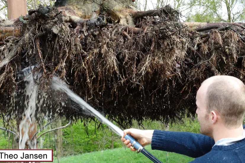 larensteinselaan 13 4 17 012